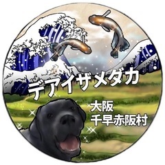千早赤阪村のめだか屋さんの画像