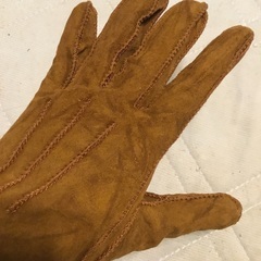 片一方しかない手袋　2種（左手)の画像