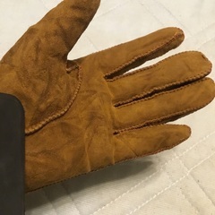 片一方しかない手袋　2種（左手)の画像