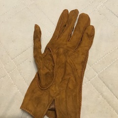 片一方しかない手袋　2種（左手)の画像