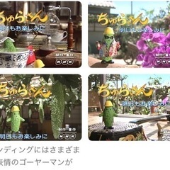 ゴーヤーマン　やわらかマスコット　キーホルダーの画像