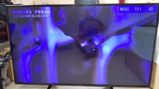パナソニック　ビエラ　液晶テレビ　TH-49E300