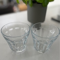 PALAKS グラス 2個セット
