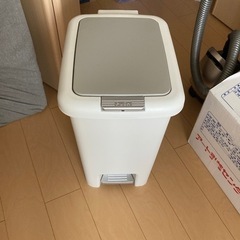 2WAYペダルペール 45L(GY)