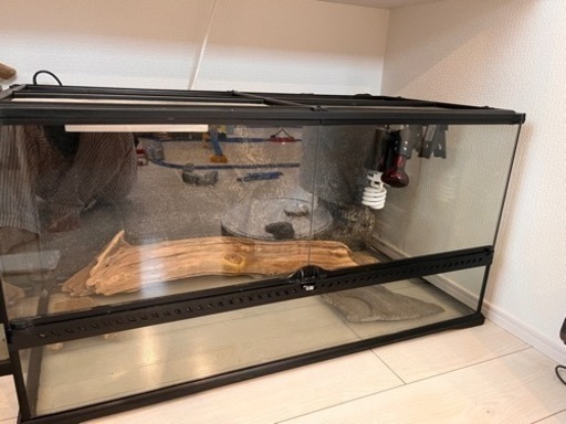 【相談中・お問い合わせ多数のため個々に返信できません】グラステラリウム　9045　爬虫類　飼育　ガラスケージ