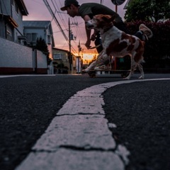 スケボー仲間募集！