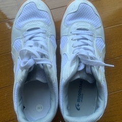 美品、体育館ばき