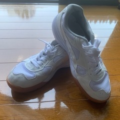 美品、体育館ばきの画像