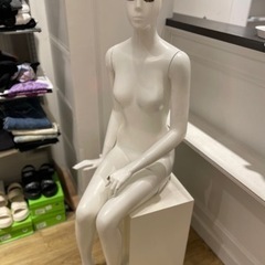 座りボディー (マネキン)