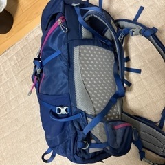 値下げ美品PAINE COMPACT 30 パックパックの画像