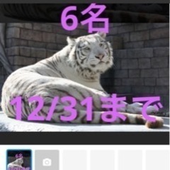 最新！東武動物公園 入園券＆アトラクションパス割引券6人分　12/31迄の画像