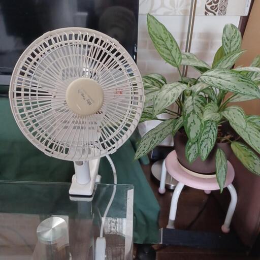 クリップ扇風機
