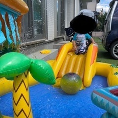 恐竜　噴水付き　プールの画像