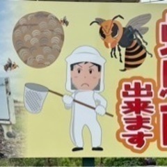 蜂駆除