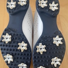 【値下げ】中古 ゴルフシューズ　23.5cmの画像