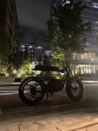 【電動アシスト自転車】Buzzraw classic