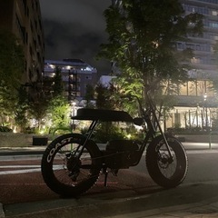 【電動アシスト自転車】Buzzraw classic