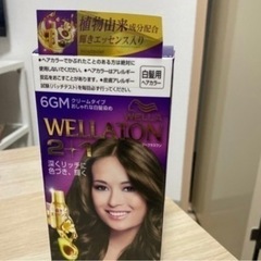 白髪染め（新品未開封）