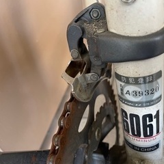 ルイガノロードバイクの画像