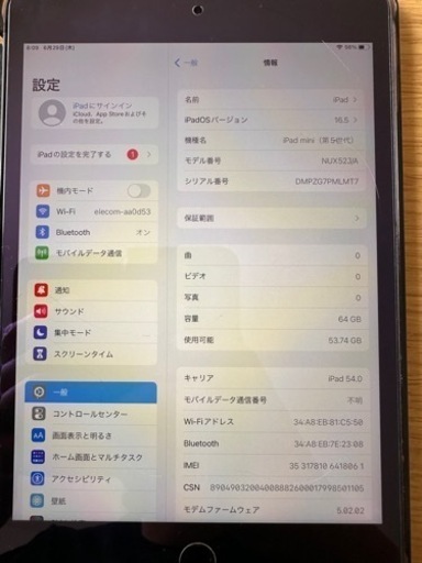 iPad mini 第5世代 Wi-Fii+Cellular 64GB