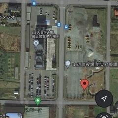 7月3〜7日期間お問い合わせ用　国産カブトムシの画像