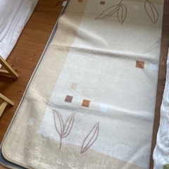 受渡予定者決まり。ホットカーペットとラグの画像