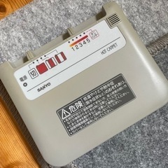 受渡予定者決まり。ホットカーペットとラグ