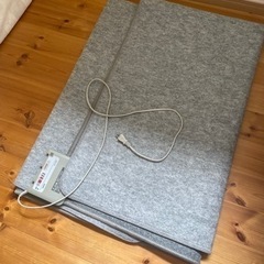 受渡予定者決まり。ホットカーペットとラグの画像