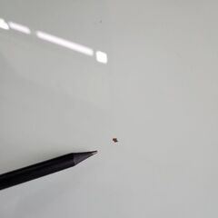 ガラストップ　ローテーブルの画像