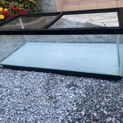 爬虫類　ペット　水槽　セット