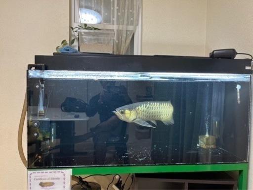 水槽フルセット