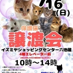 7/16（日）保護猫の譲渡会