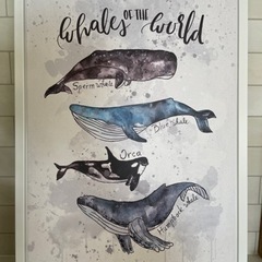 【お話中】ニトリ　アートポスター　クジラ　おしゃれ　絵