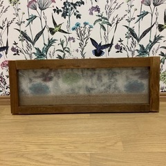 磨りガラス　インテリア　オブジェの画像