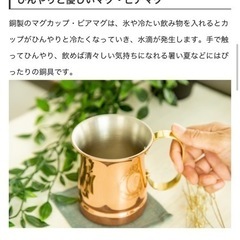 COPPER 100 HOME WARE 銅　ビアマグ　10oz...