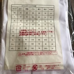 yシャツ　半袖　2枚セットの画像