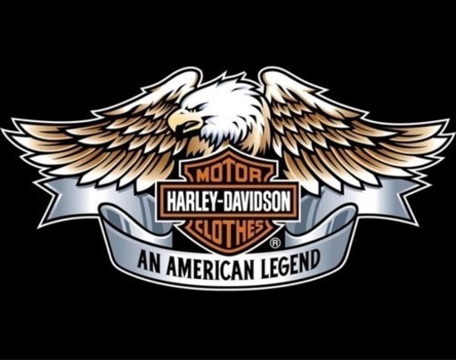 HARLEY-DAVIDSON クロノグラフ　アナデジ　腕時計