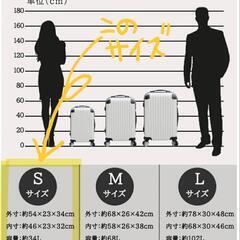機内持ち込み可能サイズの画像
