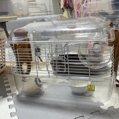 ハムスターゲージの画像