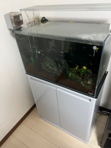 【ADA】60cm水槽一式