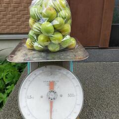 野菜が安いの画像