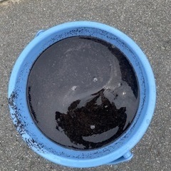 エアコンクリーニング　5000円〜 − 熊本県