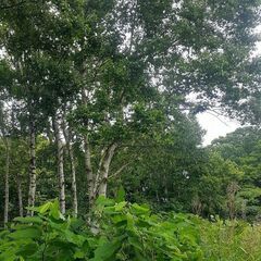 北海道遺品生前整理業協同組合(遺生協)🆓0120-66-8776...