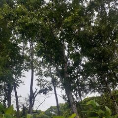 北海道遺品生前整理協業組合(遺生協)🆓0120-66-8776 ...