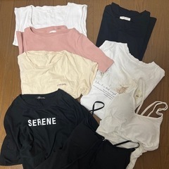 レディース 夏物の画像