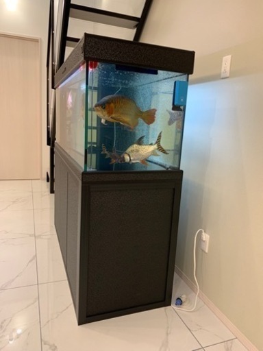 引き取り限定 大型水槽 ガラス水槽 下濾過 水槽水槽台セット アロワナ