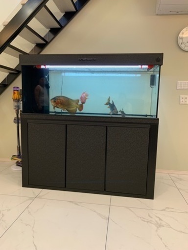 引き取り限定 大型水槽 ガラス水槽 下濾過 水槽水槽台セット アロワナ最適 美品