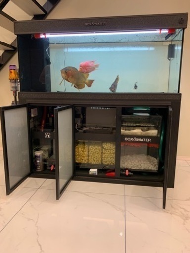 引き取り限定 大型水槽 ガラス水槽 下濾過 水槽水槽台セット アロワナ最適 美品 引き取り限定 大型水槽 ガラス水槽 下濾過 水槽水槽台セット アロワナ