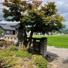 【急募7/5まで】庭関係の品お譲りします！