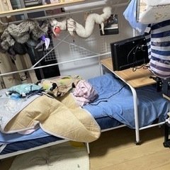 募集再開★人をダメにするベッドをお譲りします